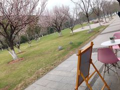 -Beans Solo豆号咖啡(百家湖花园店)