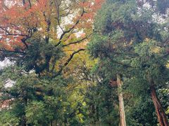 -南岳衡山风景名胜区