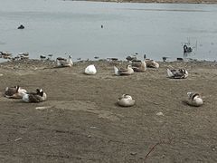 -长春市南湖公园