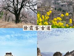 -郑州中国绿化博览园