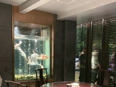 -浩运·海鲜青岛菜·海胆水饺(石老人店)