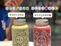 -野萃山·潮汕厚果汁(十亩地店)