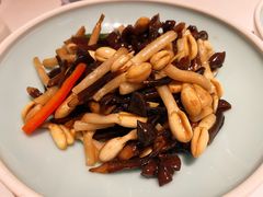 花生芽烧鸡枞菌-纳地素食(石门公园店)