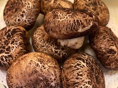 蘑菇包-马凯餐厅(长椿街店)