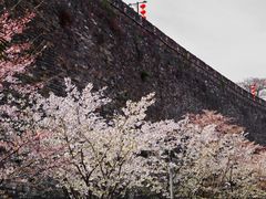 -鸡鸣寺