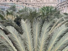 -石家庄市植物园