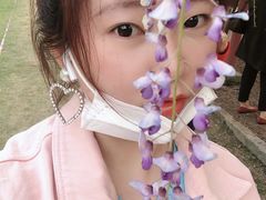 -嘉定紫藤园