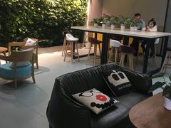 -引领英语·成人口语·雅思托福