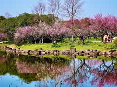 -上海海湾国家森林公园