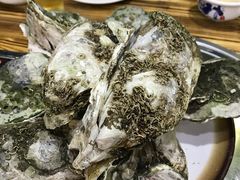 -大富蚝乌东哥饭店·石锅鱼杂·柠檬鸭(革新路店)
