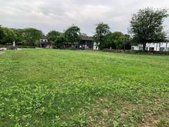 -田园东方蜜桃村的田野营地