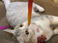 -逃脱反斗城沉浸剧情密室(北京路店)