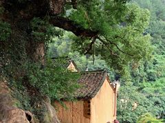 -杨家堂村