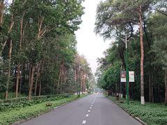 -黑龙江省森林植物园
