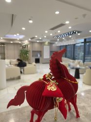 -智美品质医美