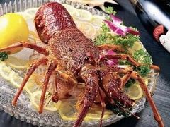 澳洲龙虾-新加坡泰国村酒楼(五角场店)