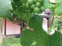 iphone_upload_pic-山水间小院