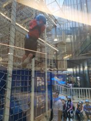 -PIPIKINGDOM皮皮王国欢乐号(欢乐海岸购物中心店)