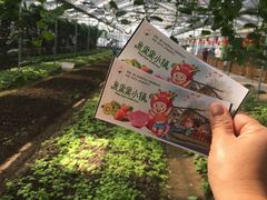 -米果果小镇