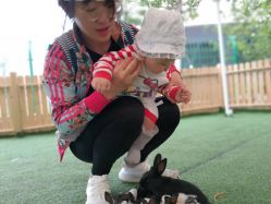 -萌宠亲子动物乐园(槐房万达店)