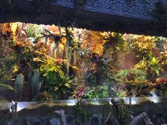 -北京植物园-展览温室