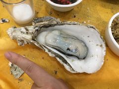 -蚝专家(北滘店)