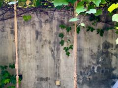 -时光花园(白鹭洲店)