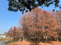 -厦门园林博览苑