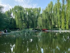 -玲珑塔公园