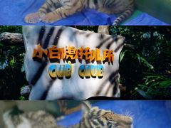 -广州长隆野生动物世界