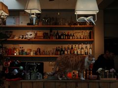 -小时光咖啡馆(北锣鼓巷店)