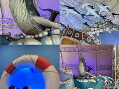 -烟台海昌鲸鲨海洋公园