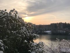 -仙林宾馆-餐厅