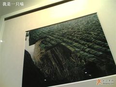 墙上装饰-渝乡人家(和平里店)