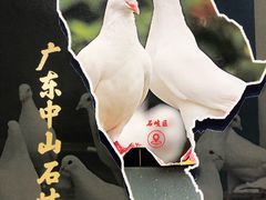 -朱记乳鸽王·非遗石岐乳鸽·全鸽宴(大兴旗舰店)