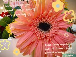 -祥馨月子会所(莞城店)