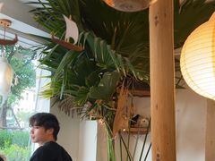 -野草莓自由市场