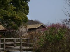 -苏州上方山国家森林公园