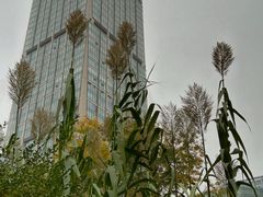 -方恒购物中心(望京小街店)