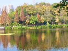 -重庆彩云湖湿地公园