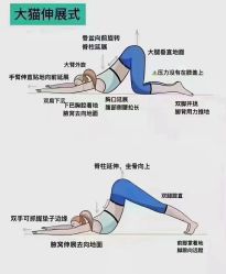 点击看大图 -昕孕瑜伽·孕妇瑜伽·产后修复