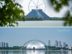 -高东镇樱花园