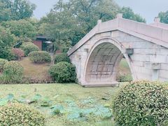 -桃花岛景观公园