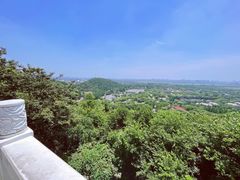 -上海佘山国家森林公园西佘山园