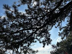 -终南山南五台景区