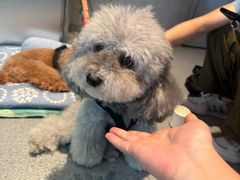 -E+有冰工厂·昆仑寒宫2(五角场店)