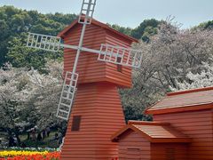 -苏州上方山国家森林公园