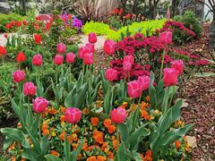 -徐家汇源景区-衡山公园