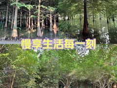 -森林公园(地铁站)