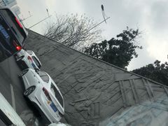 -沈记青团